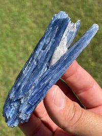 Image 15 of Blue Kyanite & Quartz Specimen #1897