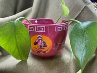Image 2 of Golden Pothos in Naruto Red Ramen Bowl