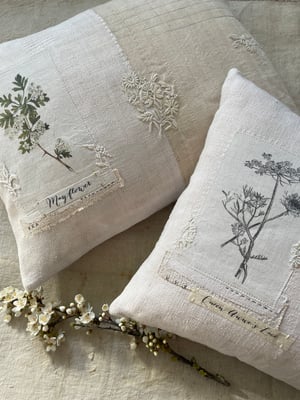 Image of Mayflower Lace Cushion 