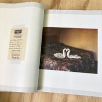 Image 5 of Alec Soth - Gathered Leaves Annotated (Signed)