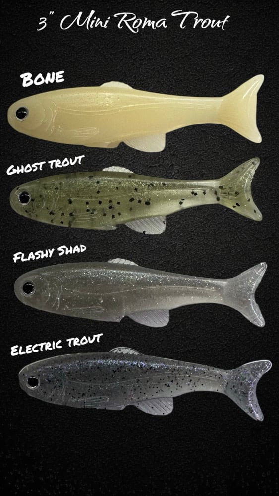 3" Mini Roma Trout