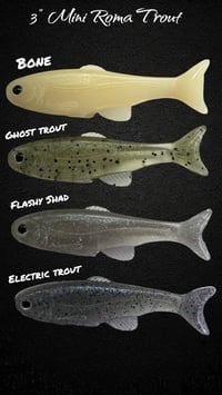 Image 1 of 3" Mini Roma Trout