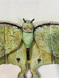 Image 3 of Luna Moth- Jil Johnson