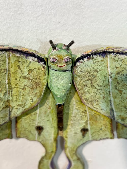 Image of Luna Moth- Jil Johnson