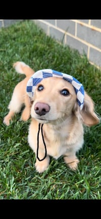 Image 2 of Blue Designer Pet Bucket Hat