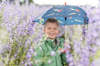 Image 5 of Confetti fields 