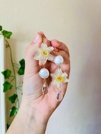 Image 1 of 🤍Mismatch Pearly Narcissus🤍