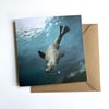 Underwater - Set of 4 Luxury Greetings Cards