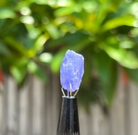 Image 17 of Tanzanite Specimen #2431