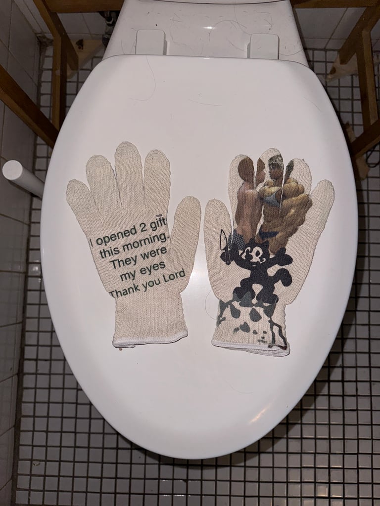 toilet gloves Image 2