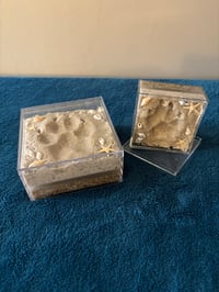 Image 2 of Sandy Paws
