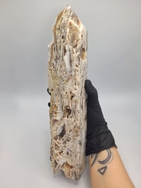 Image 4 of Sphalerite XL Druzy Crystal 12.5" Towers - 2 Styles