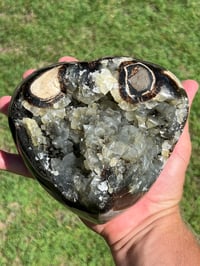 Image 7 of Septarian Nodule Polished Freeform With UV Calcite Inclusions| Madagascar #2893