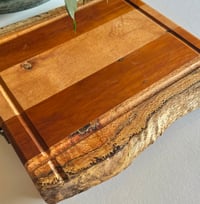 Image 1 of rimu • silk oak 