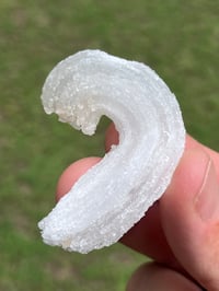 Image 11 of Ram’s Horn Selenite, Gypsum Specimen | Guizhou China #3050