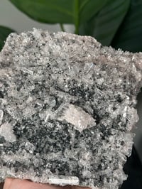 Image 3 of SELF STANDING COOKIES AND CREAM COLOMBIAN NEEDLE QUARTZ