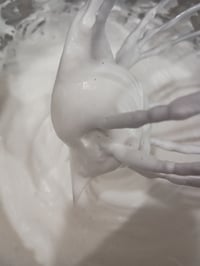 Image 3 of "wicked whipped vanilla bean tallow butter" 3.6oz
