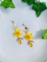 Image 2 of 🌼Daffodil Shaniquas🌼 Moon Phase