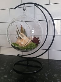 Image 3 of Glass Globe Terrarium Set With Natural Quartz Crystal & Moon Stand - Everything Included 