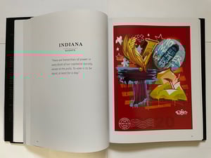 Image of INDIVISIBLE PROJECT 270