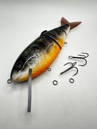 Image 1 of Nimbus Plus Ultra 9-11’