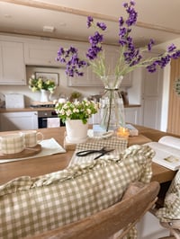 Image 3 of Cottage Garden Delphiniums ( 6 Included )