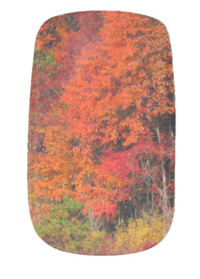 Image 3 of Autumn tree's 