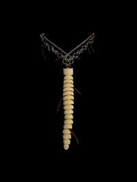 Image 4 of 10. The Impostor Worm