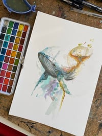 Image 1 of Baleine verte 