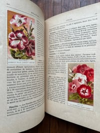 Image 18 of Le jardin d’agrément, L-J.Troncet, édition Larousse, 1908