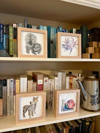 Image 1 of Tiny Prints Framed in Maple