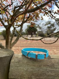 Light Blue -Small/Puppy