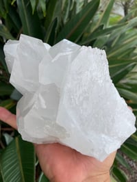 Image 6 of Clear Quartz Self Healed Points Cluster #1189