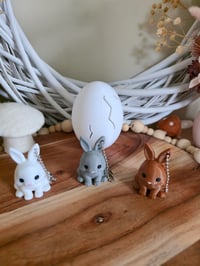 Image 1 of Mystery bunny keychain eggs