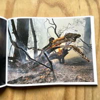 Image 7 of Lucas Foglia - Human Nature 