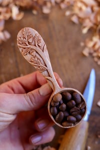Image 9 of Oak Tree~ Coffee Scoop