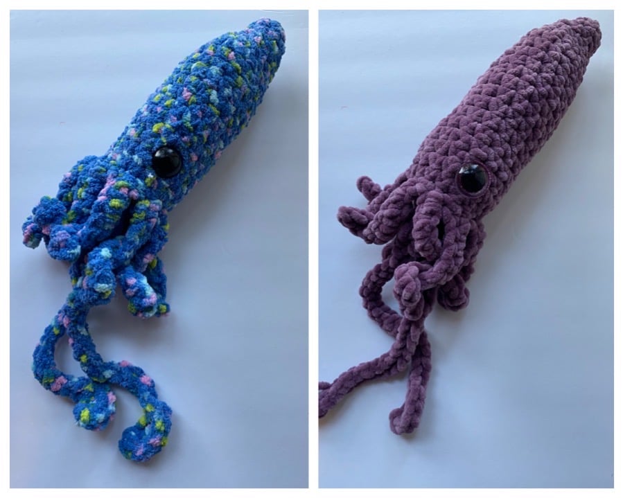 Squid