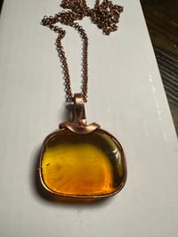 Image 3 of Amber