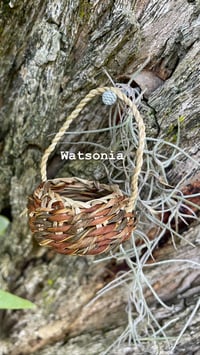 Image 2 of Fairy baskets