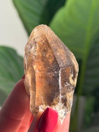 Image 3 of NATURAL RUTILE X GARDEN SMOKEY QUARTZ POINT -BRAZIL- A