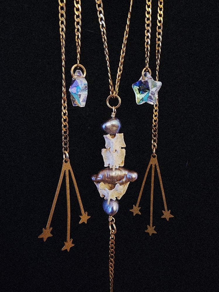Image of squirrel vertebrae & pearl suncatcher