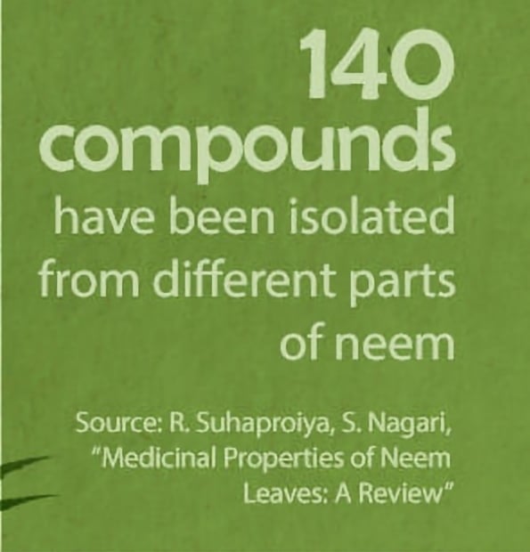 NEEMLY YOURS! Powder/Leaves/Teabags. Diabetes-Fungi-Viruses-Parasites-Allergies-Infections.