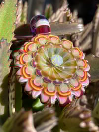 Image 4 of Magenta Magnolia