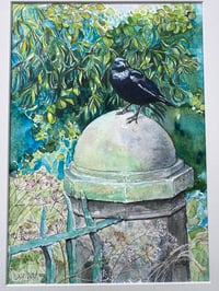 Crow at Cannon Hall Giclee print 