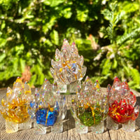 Image 1 of Present Bellies 2023