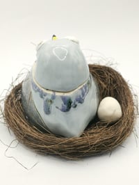 Image 3 of Pigeon 5