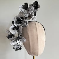 Image 1 of Black n white orchids