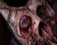 Image 10 of Commission: custom phone cover for One Plus 7T