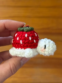 Image 4 of Tortue 