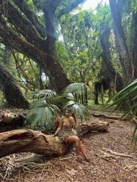 Image 3 of FAIRY SET